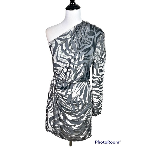 NWT IRO Nimas one-shoulder zebra-print mini dress - Picture 2 of 12